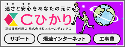 格安爆速Cひかりインターネット