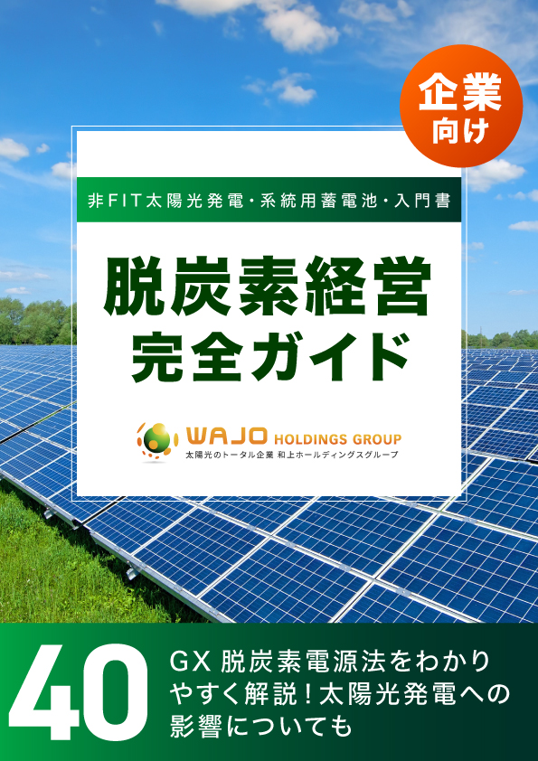 GX脱炭素電源法をわかりやすく解説！太陽光発電への影響についても