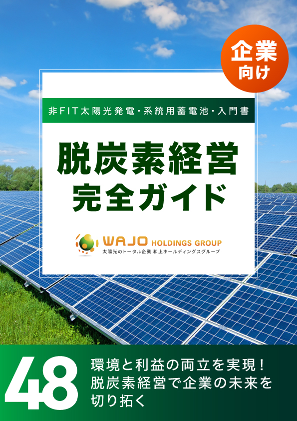 環境と利益の両立を実現！脱炭素経営で企業の未来を切り拓く