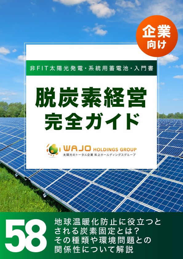 地球温暖化防止に役立つとされる炭素固定とは？その種類や環境問題との関係性について解説