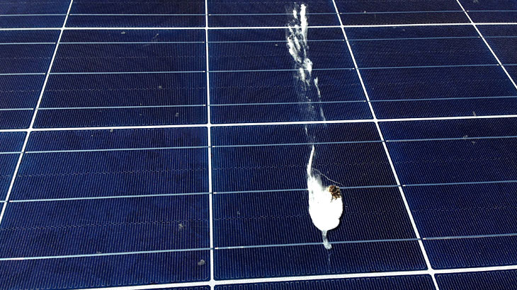 急増している太陽光発電パネルの鳥害・糞害