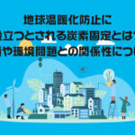 地球温暖化防止に役立つとされる炭素固定とは？その種類や環境問題との関係性について解説