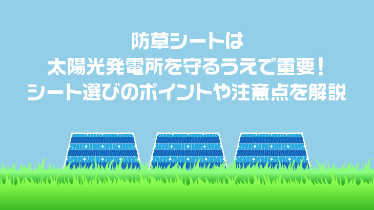 防草シートは太陽光発電所を守るうえで重要！シート選びのポイントや注意点を解説