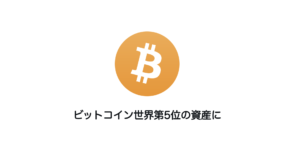 ビットコイン世界第5位の資産に
