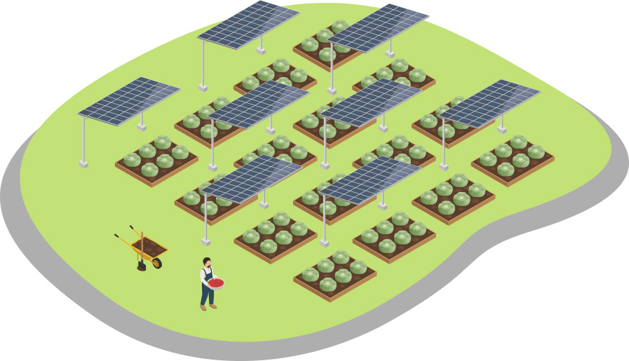 営農型太陽光発電（ソーラーシェアリング）とは？
