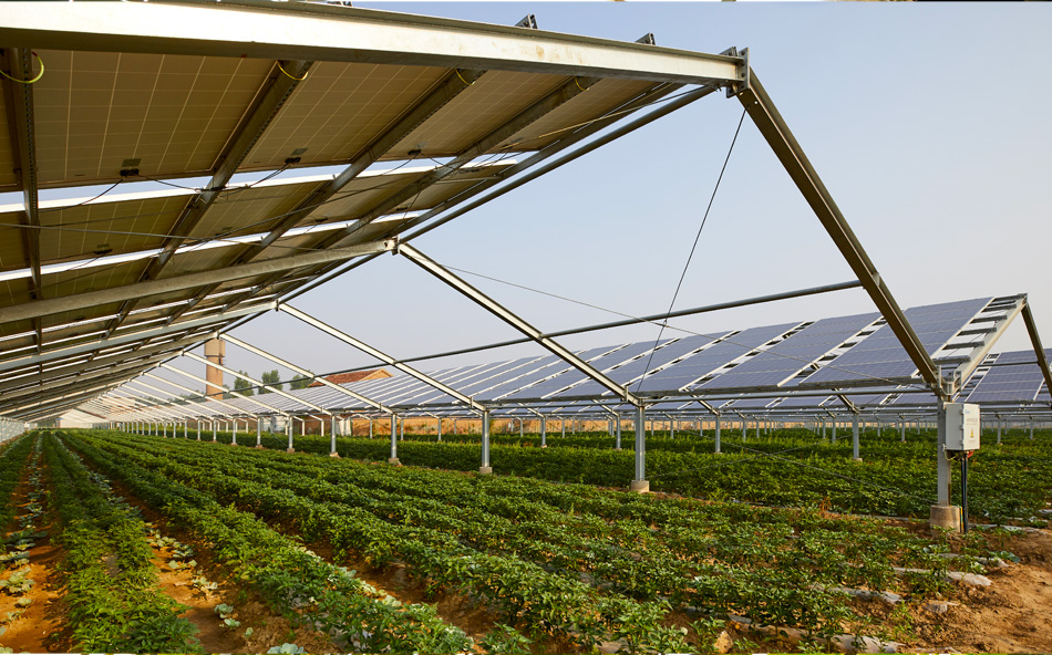 営農型太陽光発電の設置例