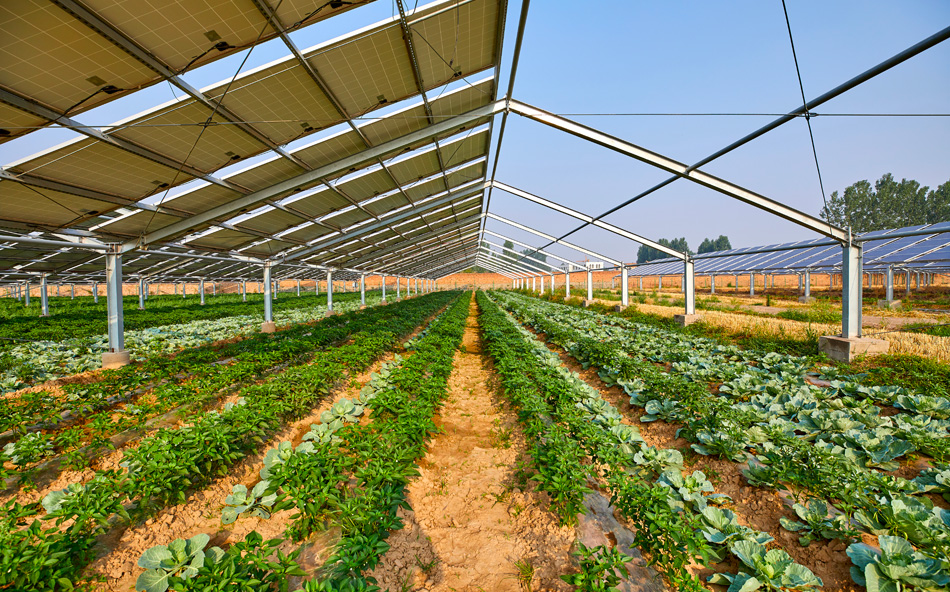 太陽光発電と農業の両立