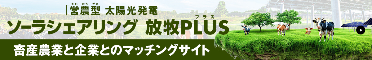 営農型太陽光発電 ソーラシェアリング 放牧PLUS