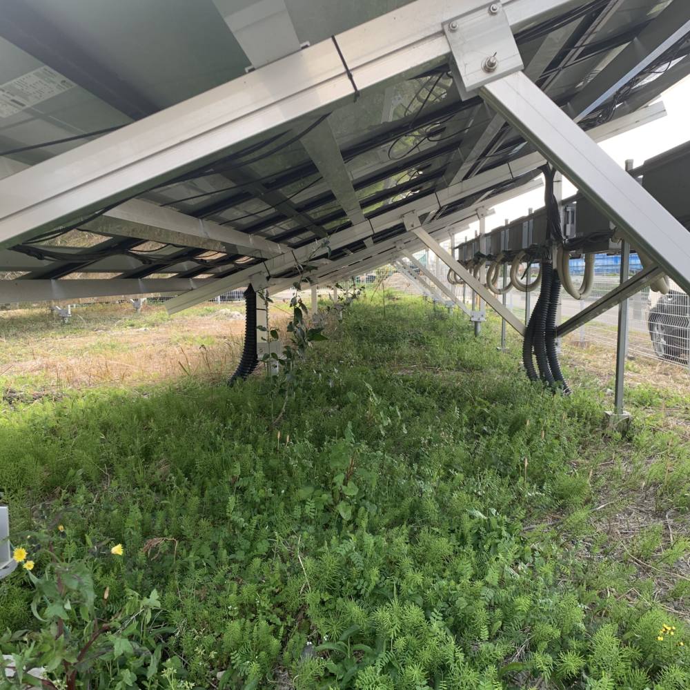実績・評判口コミ画像01-産業用太陽光発電システム　73.44kW　三重県桑名市
