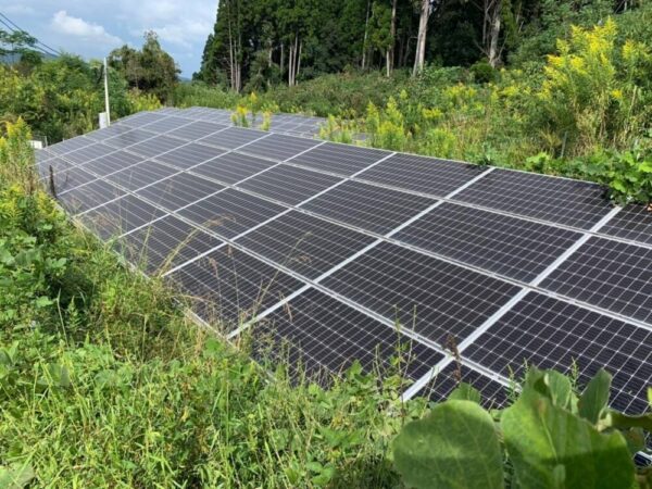 鹿児島県　49.5kW 低圧　メンテナンス