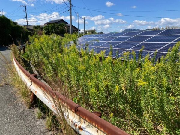 実績・評判口コミ画像01-山口県　49.5kW 低圧　メンテナンス