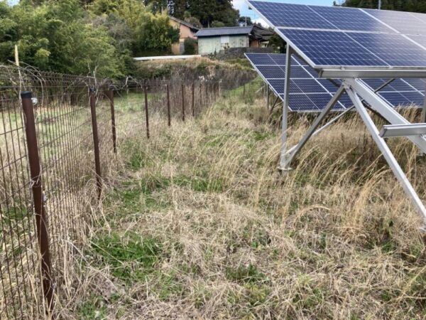 実績・評判口コミ画像03-鹿児島県　49.5kW　低圧　メンテナンス