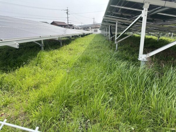 実績・評判口コミ画像01-三重県　49.5kW　低圧　メンテナンス