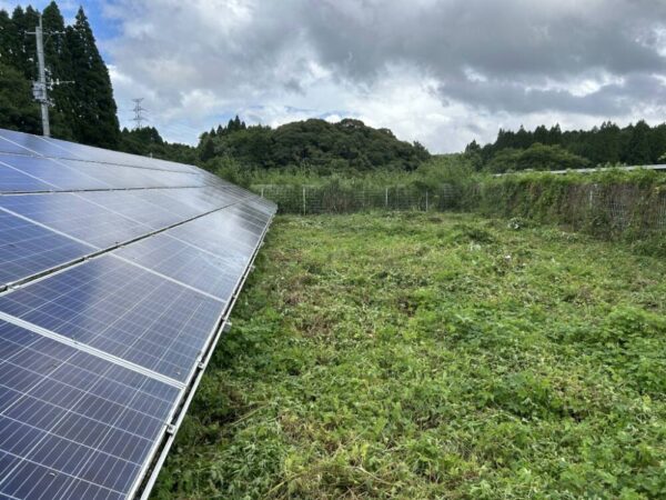 鹿児島県　49.5kW　低圧　メンテナンス