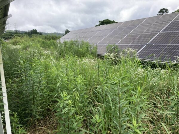 実績・評判口コミ画像02-鹿児島県　49.5kW　低圧　メンテナンス