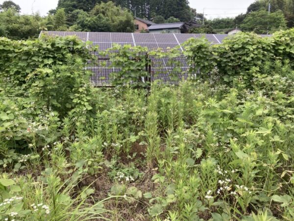 実績・評判口コミ画像03-鹿児島県　49.5kW　低圧　メンテナンス