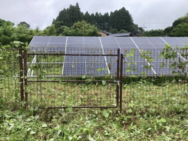 実績・評判口コミ画像01-鹿児島県　49.5kW　低圧　メンテナンス