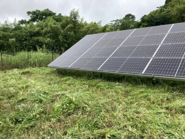 鹿児島県　49.5kW　低圧　メンテナンス