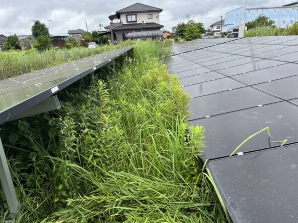 岡山県　49.5kW　低圧　メンテナンス