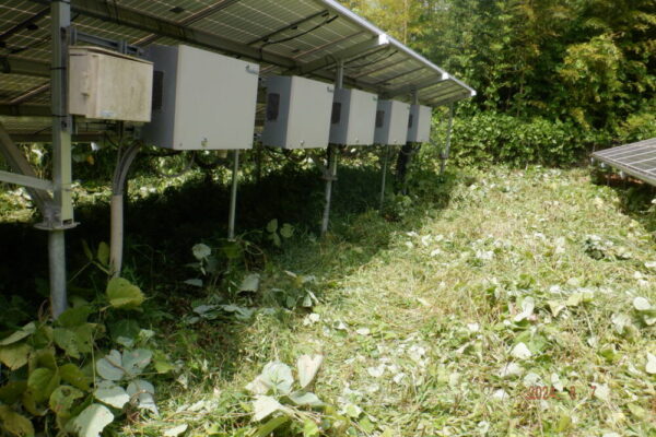 実績・評判口コミ画像01-兵庫県　49.5kW　低圧　メンテナンス