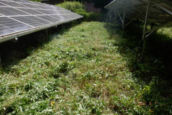 兵庫県　49.5kW　低圧　メンテナンス