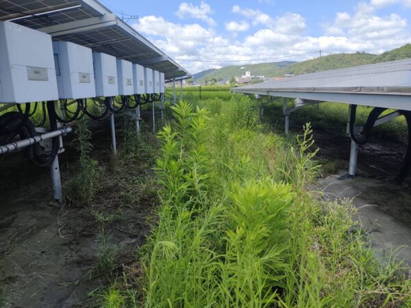 広島県　49.5kW　低圧　メンテナンス