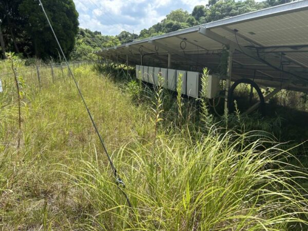 鹿児島県　49.5kW　低圧　メンテナンス