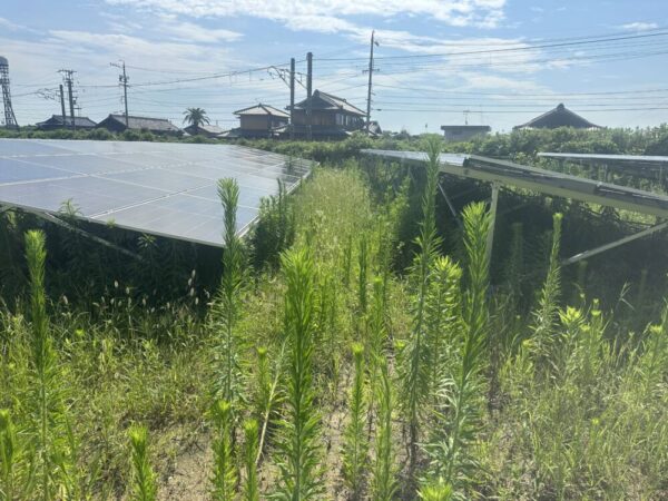 実績・評判口コミ画像01-三重県　49.5kW　低圧　メンテナンス