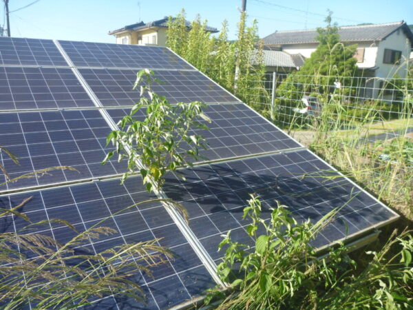 実績・評判口コミ画像01-熊本県　49.5kW　低圧　メンテナンス