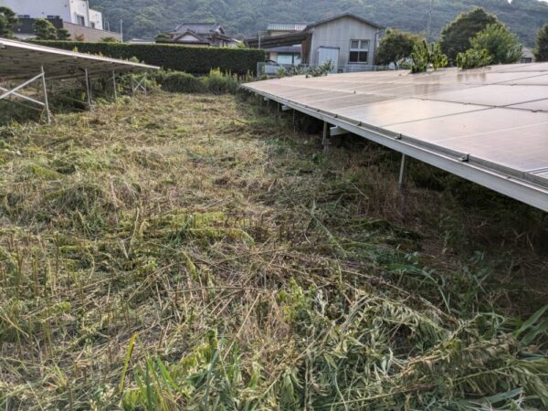 佐賀県　49.5kW　低圧　メンテナンス