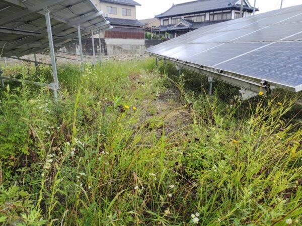 実績・評判口コミ画像02-広島県　49.5kW　低圧　メンテナンス