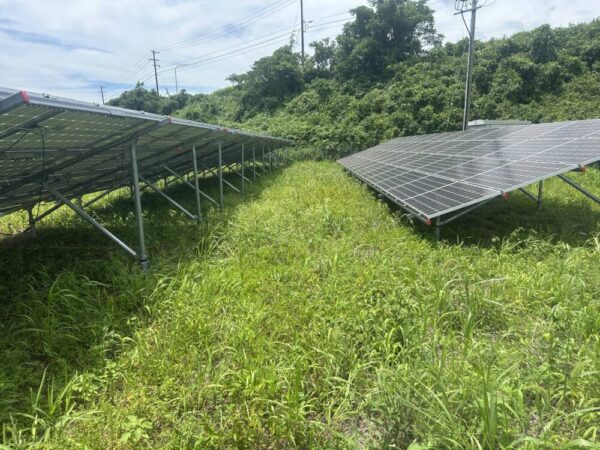 愛知県　150kW 高圧　メンテナンス