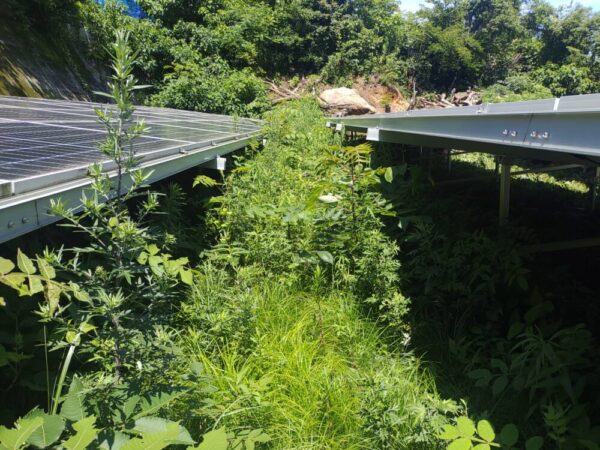 実績・評判口コミ画像02-広島県　49.5kW　低圧　メンテナンス