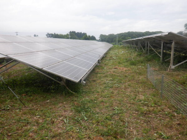 栃木県　49.5kW　低圧　メンテナンス