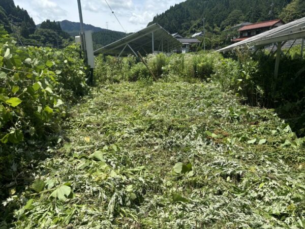 実績・評判口コミ画像02-鳥取県　49.5kW　低圧　メンテナンス