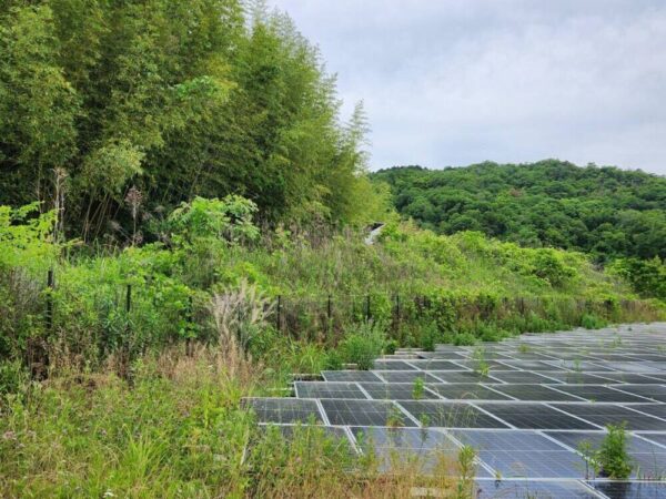 実績・評判口コミ画像02-京都府　1000kW　高圧　メンテナンス