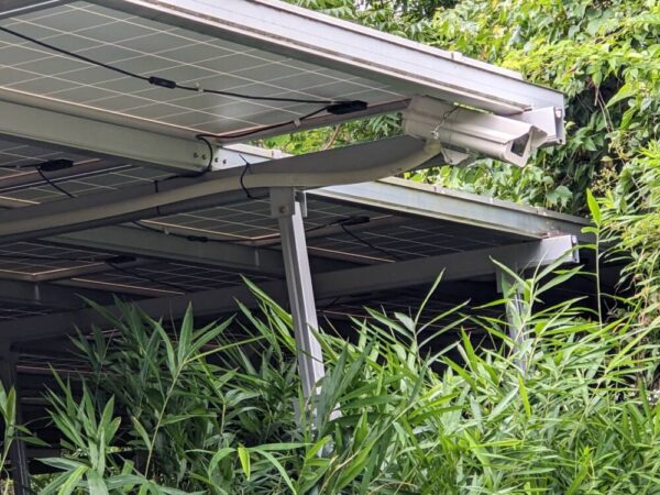 兵庫県　49.5kW　低圧　メンテナンス