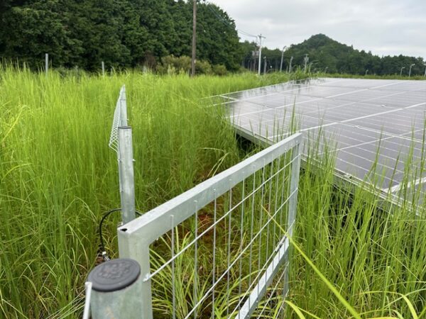 実績・評判口コミ画像01-三重県　49.5kW　低圧　メンテナンス