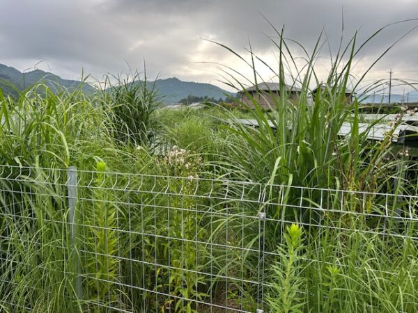 実績・評判口コミ画像02-三重県　49.5kW　低圧　メンテナンス