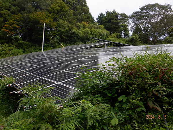 実績・評判口コミ画像02-兵庫県　除草　49.5kW　低圧