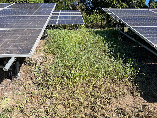 岡山県　49.5kW　低圧