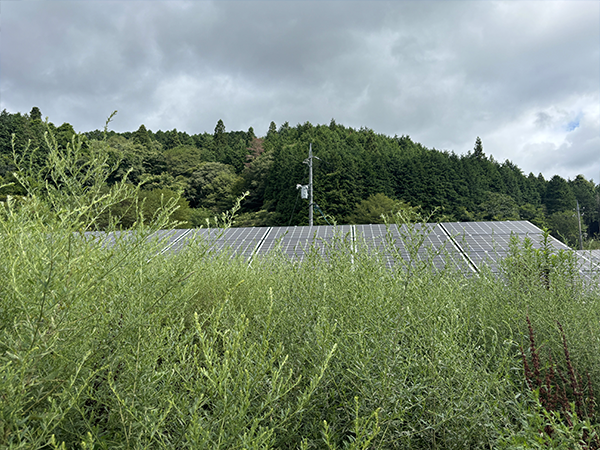 実績・評判口コミ画像01-広島県　除草　49.5kW　低圧