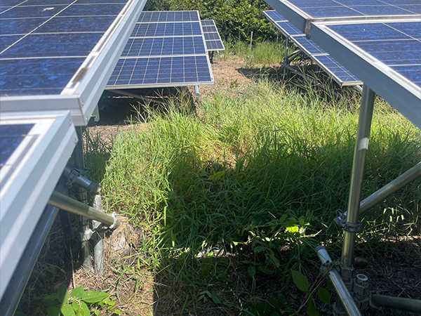 実績・評判口コミ画像03-岡山県　49.5kW　低圧