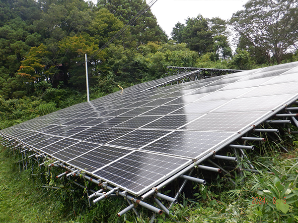 兵庫県　除草　49.5kW　低圧