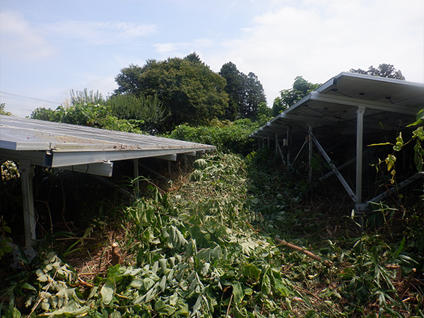 実績・評判口コミ画像02-宮城県　49.5kW　低圧