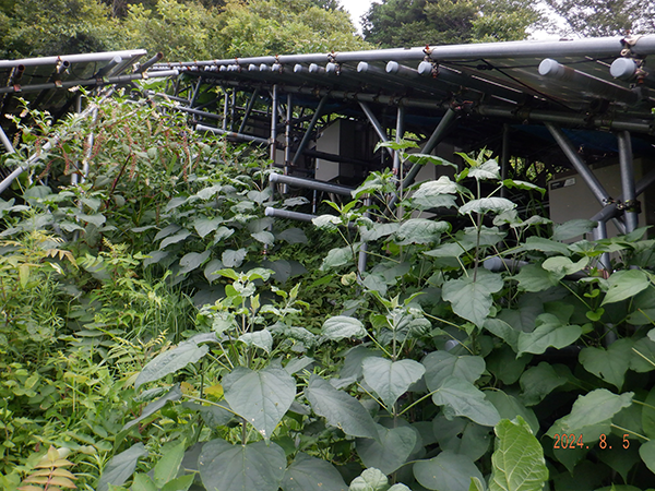 実績・評判口コミ画像03-兵庫県　除草　49.5kW　低圧