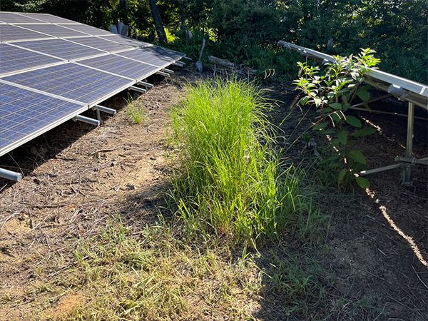 実績・評判口コミ画像03-岡山県　49.5kW　低圧