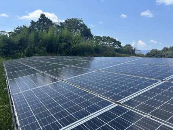 鹿児島県　49.5kW　低圧　メンテナンス