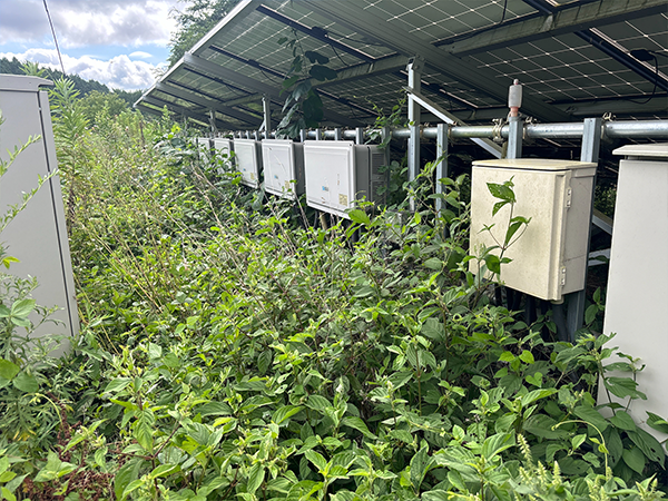 実績・評判口コミ画像03-広島県　除草　49.5kW　低圧