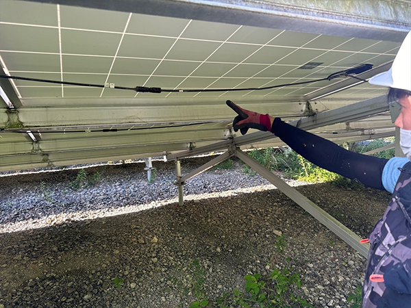 実績・評判口コミ画像01-徳島県　49.5kw　低圧